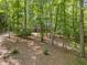 Brick home with lush green trees, offering privacy and a serene setting at 12537 Birchfalls Dr, Raleigh, NC 27614