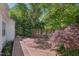 Wooden back deck surrounded by lush greenery at 1316 Glenwood Ave, Raleigh, NC 27605