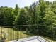 Scenic backyard view from the deck with a black metal railing, showcasing lush greenery at 1909 Whirlaway Ct., Cary, NC 27519
