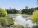 Scenic community pond surrounded by lush greenery and mature trees on a clear day at 1909 Whirlaway Ct., Cary, NC 27519