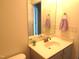 Well-lit bathroom with a single sink vanity, neutral colors, and a decorative plant at 202 Redstone Ct, Gibsonville, NC 27249