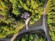Aerial view of a property nestled among mature trees with a paved driveway and charming neighborhood surroundings at 3650 Brooks Bnd, Franklinton, NC 27525