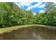 Scenic view of a tranquil pond surrounded by green trees and a blue sky, enhancing the property's appeal at 51 Abernathy Dr, Chapel Hill, NC 27517