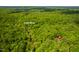 Overhead view of the property surrounded by lush forest with a nearby river at 7723 Johnson Mill Rd, Bahama, NC 27503