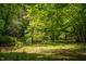 Picturesque view of a creek surrounded by lush greenery, enhancing the natural beauty at 7723 Johnson Mill Rd, Bahama, NC 27503