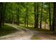 Long, scenic driveway through a green forest with a glimpse of a tranquil stream at 7723 Johnson Mill Rd, Bahama, NC 27503