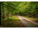 Gravel driveway winding through a lush green forest, offering privacy and natural beauty at 7723 Johnson Mill Rd, Bahama, NC 27503