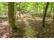 A natural path leads through a serene wooded area, showcasing the property's peaceful setting at 7723 Johnson Mill Rd, Bahama, NC 27503