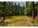 Large, open backyard with a partially wooded area and utilities box at 1218 Red Cedar Ct, Youngsville, NC 27596