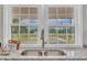 A double basin kitchen sink overlooks a large backyard through large windows at 1347 Crocker Rd, Smithfield, NC 27577