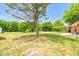 Spacious side yard featuring mature trees and well maintained grass at 1647 Turner Rd, Mebane, NC 27302