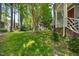 Side yard view from the home showcasing lush green grass, mature trees, and beautiful landscaping at 1806 Carrington Dr, Raleigh, NC 27615