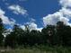 Scenic view of lush green trees with puffy white clouds in the bright blue sky at 196 Cozy Brook Ct, Clayton, NC 27520