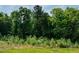 View of mature trees and greenery at 196 Cozy Brook Ct, Clayton, NC 27520