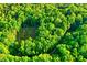Secluded property surrounded by dense green trees, highlighting privacy and the beauty of nature from an aerial perspective at 196 Tara Ln, Timberlake, NC 27583