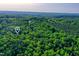 Aerial view displaying property location of wooded acreage in a lush, green forest at 196 Tara Ln, Timberlake, NC 27583