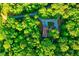 Aerial view of a charming home nestled among lush green trees, providing privacy and a serene environment at 196 Tara Ln, Timberlake, NC 27583