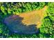 An aerial view displays a cleared field on wooded acreage that is surrounded by lush green trees at 196 Tara Ln, Timberlake, NC 27583