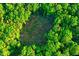 Aerial view of property with a cleared spot surrounded by mature trees on beautiful wooded acreage at 196 Tara Ln, Timberlake, NC 27583