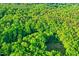 Lush aerial view of forested property ready for sustainable living or recreational use at 196 Tara Ln, Timberlake, NC 27583