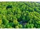 Aerial view of a home nestled among a dense, green forest, showcasing its secluded and private setting at 196 Tara Ln, Timberlake, NC 27583