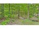 Idyllic view of a backyard wooden walking bridge surrounded by lush greenery and mature trees at 196 Tara Ln, Timberlake, NC 27583