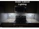 Kitchen featuring under cabinet lighting and stainless steel appliances at 2018 Groundwater Pl, Raleigh, NC 27610