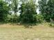 The backyard lawn is surrounded by a thicket of trees at 555 Whitley Ridge Dr, Clayton, NC 27527
