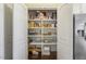 Organized pantry with shelves stocked with food and supplies at 624 Meadowgrass Ln, Wake Forest, NC 27587