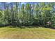Expansive backyard featuring lush lawn, and mature trees for recreational enjoyment at 7304 Hasentree Club Dr, Wake Forest, NC 27587