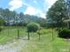 Large backyard with lush grass, a decorative flower bed, a fence and an ornamental grass display at 915 Phils Creek Rd, Chapel Hill, NC 27516