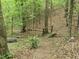 Footpath through a wooded area featuring a charming wooden bridge, enhancing the natural landscape at 915 Phils Creek Rd, Chapel Hill, NC 27516