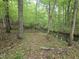 Scenic walking trail leading towards a serene creek, surrounded by lush trees at 915 Phils Creek Rd, Chapel Hill, NC 27516