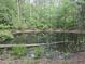 Still pond amidst lush greenery, reflecting the surrounding trees, creating a tranquil scene at 915 Phils Creek Rd, Chapel Hill, NC 27516