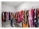 Walk-in closet with ample storage space and organized shelving at 147 Antler Steel Dr, Clayton, NC 27527