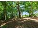 Tranquil backyard with mature trees, offering shade and privacy in a serene, natural setting at 3005 Buckhorn Rd, Sanford, NC 27330