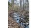 Natural stream meandering through the property, offering a tranquil and scenic feature at 3005 Buckhorn Rd, Sanford, NC 27330