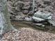 Natural stream meandering through the property, offering a tranquil and scenic feature at 3005 Buckhorn Rd, Sanford, NC 27330