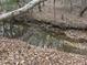 Natural stream meandering through the property, offering a tranquil and scenic feature at 3005 Buckhorn Rd, Sanford, NC 27330