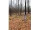 An inviting disc golf course meanders through a serene, wooded setting, offering recreational opportunities at 3005 Buckhorn Rd, Sanford, NC 27330
