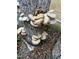 Exterior shot of mushrooms growing on tree trunk next to building with leaves at 3005 Buckhorn Rd, Sanford, NC 27330