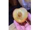 Fruit cut in half displaying the juicy interior, highlighting the freshness of produce grown at home at 3005 Buckhorn Rd, Sanford, NC 27330