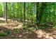 View of land in wooded area with tall trees and open space, on sunny day at 3005 Buckhorn Rd, Sanford, NC 27330