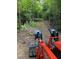 Image showcases a newly cleared path ready for exploration on this dynamic property at 3005 Buckhorn Rd, Sanford, NC 27330