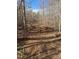Picturesque land with a serene setting features a mix of mature trees and natural undergrowth at 3005 Buckhorn Rd, Sanford, NC 27330