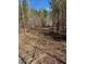 Picturesque land with a serene setting features a mix of mature trees and natural undergrowth at 3005 Buckhorn Rd, Sanford, NC 27330
