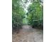 Image showcases a newly cleared path ready for exploration on this dynamic property at 3005 Buckhorn Rd, Sanford, NC 27330