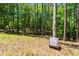 View of land in wooded area with tall trees and open space, on sunny day at 3005 Buckhorn Rd, Sanford, NC 27330