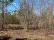 Picturesque land with a serene setting features a mix of mature trees and natural undergrowth at 3005 Buckhorn Rd, Sanford, NC 27330