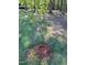 Newly planted tree, enhancing the yard with greenery and the promise of shade and seasonal beauty at 3005 Buckhorn Rd, Sanford, NC 27330